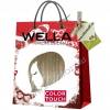 Wella Color Touch Крем-краска 9/01 Яркий пепельный блондин, 60 мл